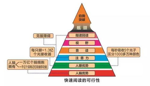 北京大成学能教育咨询公司